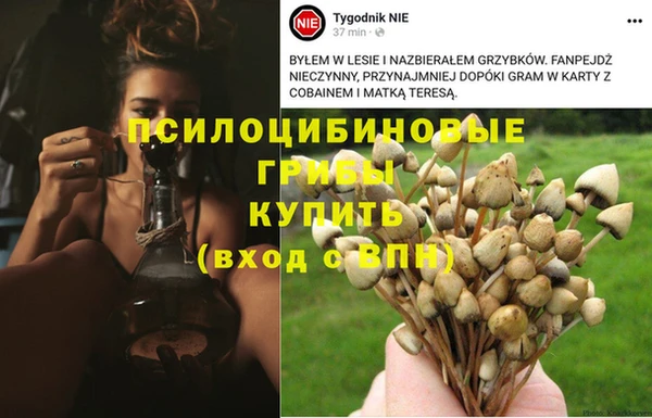 метамфетамин Богородицк