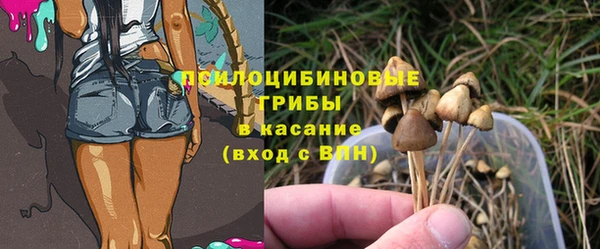 первитин Богданович
