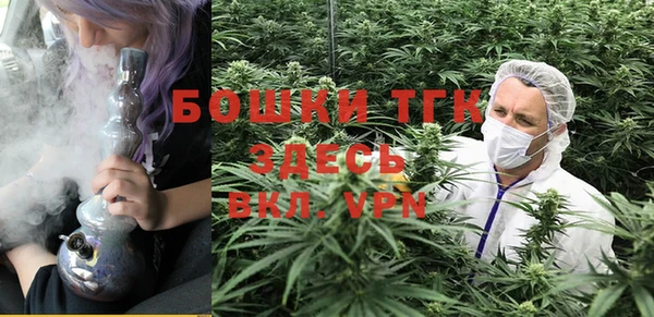 COCAINE Богородск