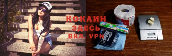 первитин Богданович