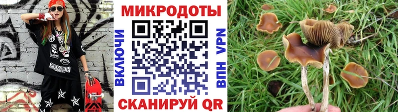 Купить  Вытегра  Псилоцибиновые грибы мухоморы 
